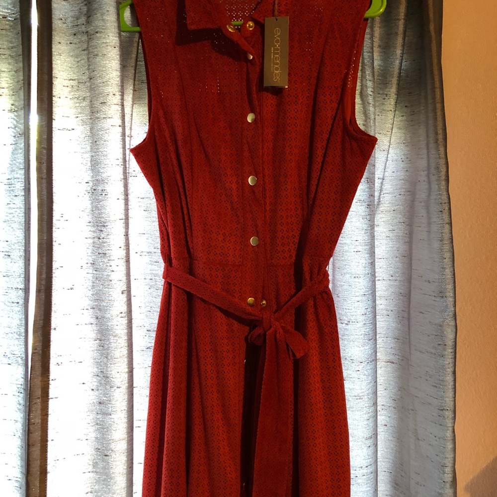 Brick color dress